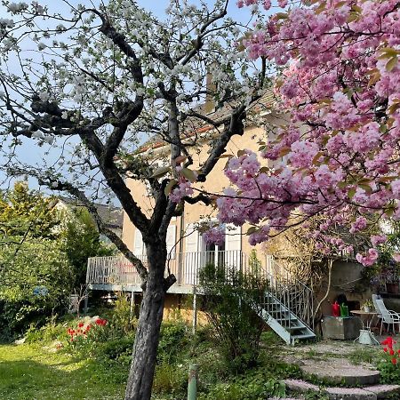 Au Jardin Bed & Breakfast Zuchwil Екстериор снимка