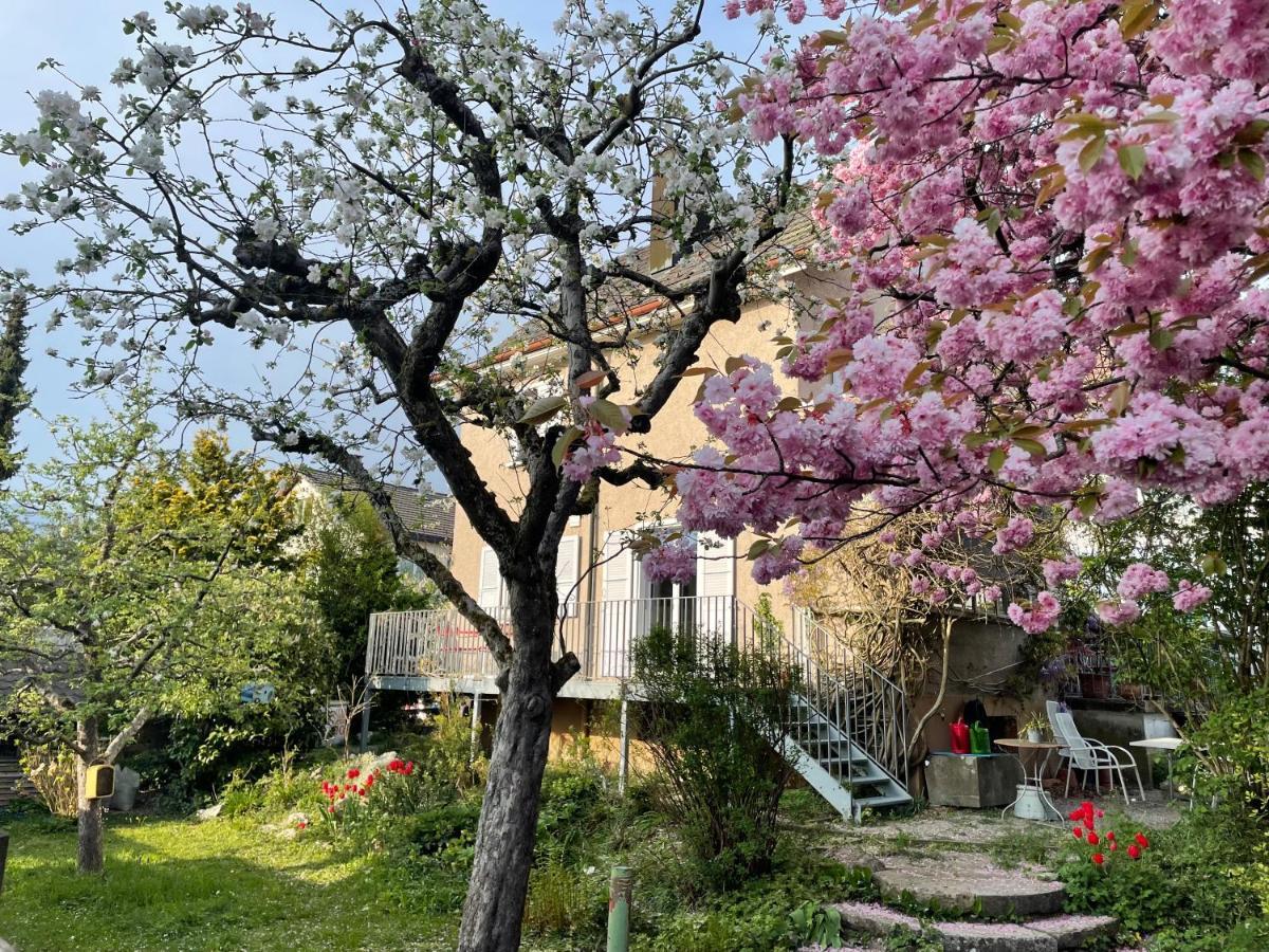 Au Jardin Bed & Breakfast Zuchwil Екстериор снимка