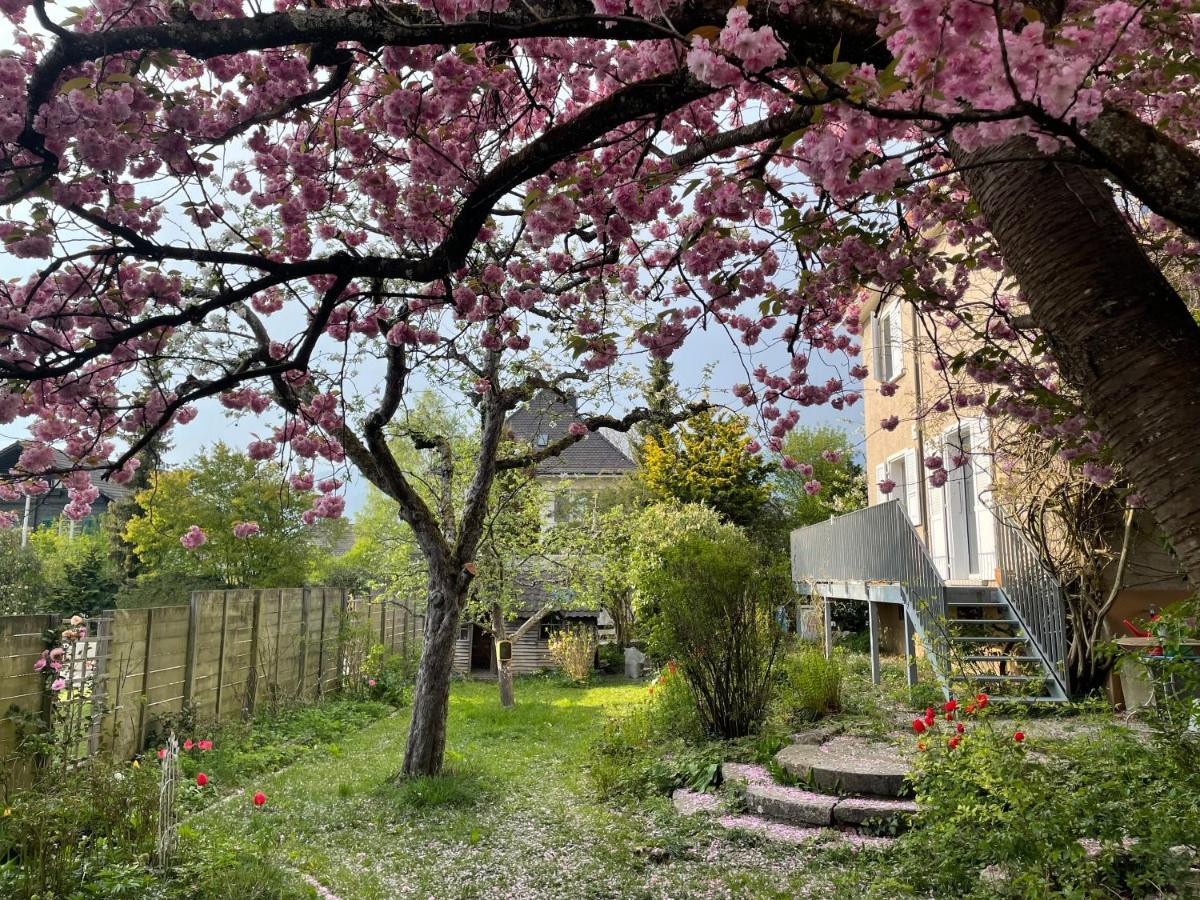 Au Jardin Bed & Breakfast Zuchwil Екстериор снимка