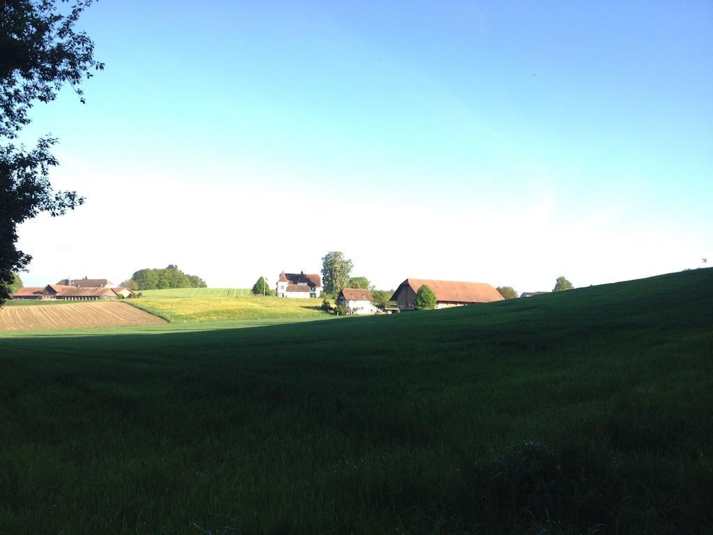 Au Jardin Bed & Breakfast Zuchwil Екстериор снимка